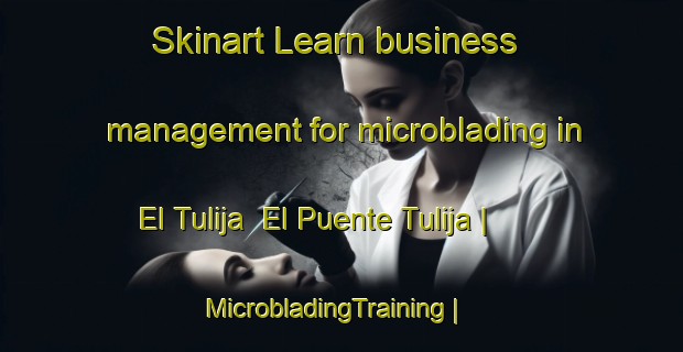 Skinart Learn business management for microblading in El Tulija  El Puente Tulija | MicrobladingTraining | MicrobladingClasses | SkinartTraining-Mexico